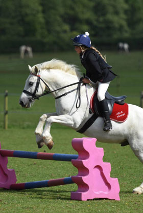 About Naydon Equestrian
